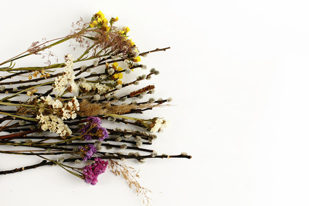 colorful flowers and willow buds isolated on white background, holiday spring conceptの写真素材