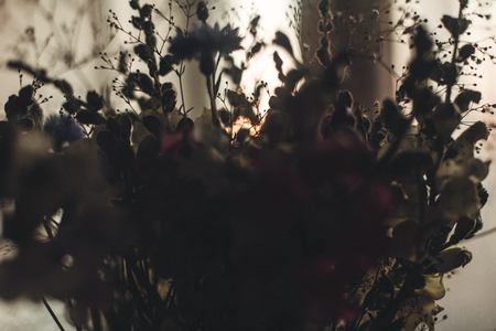 flowers silhouette in sunset light. wildflowers in sunlight in country house in evening room. beautiful bloom picture, atmospheric momentの写真素材