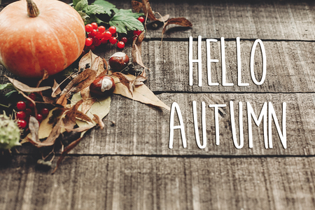 hello autumn text, greeting card. fall image. beautiful pumpkin and leaves and berries on rustic wooden background. cozy autumn mood