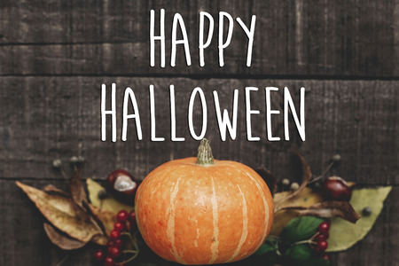 happy halloween text sign, greeting card. fall image flat lay. beautiful pumpkin and leaves and...
