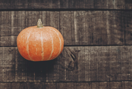 halloween or thanksgiving concept greeting card. beautiful pumpkin on rustic wooden background, top view. space for text. cozy autumn mood. fall holiday. stylish simple flat layの写真素材