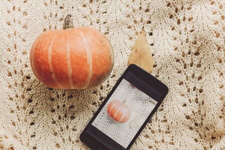 instagram blogging concept. phone with photo of pumpkin and leaf on warm sweater, top view. halloween or thanksgiving holiday. space for text. cozy mood autumn,rustic background flat layの写真素材