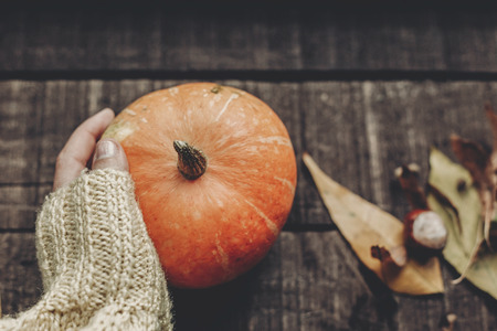 halloween or thanksgiving concept greeting card. hand in sweater holding pumpkin with leaves and berries on rustic wooden background, top view. space for text. cozy autumn moodの写真素材