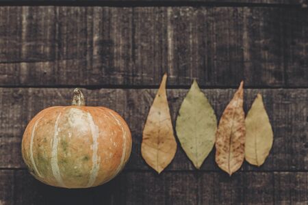 beautiful pumpkin with leaves on rustic wooden background, top view. space for text.  cozy autumn mood. halloween or thanksgiving concept greeting card fall flat lay. holiday. simple imageの写真素材