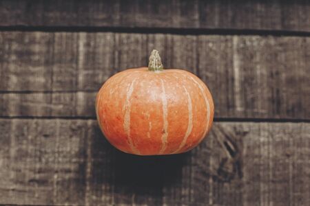 beautiful pumpkin on rustic wooden background, top view. space for text. cozy autumn mood. fall holiday. stylish halloween or thanksgiving concept greeting card. simple flat layの写真素材