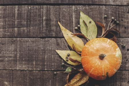 fall photo, beautiful pumpkin with leaves and berries on rustic wooden background, top view. space for text. thanksgiving or halloween concept greeting card flat lay. cozy autumn mood. holidayの写真素材