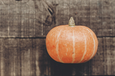 beautiful pumpkin on rustic wooden background, top view. space for text. cozy autumn mood. fall holiday. stylish halloween or thanksgiving concept greeting card. simple flat layの写真素材