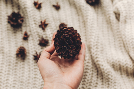 hand holding pine cone on background of cozy sweater and anise on rustic background top view, space for text. xmas seasonal greetings card. winter holidays mood. christmas decor preparationの写真素材