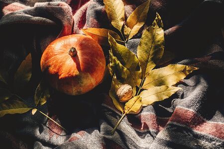 happy halloween or thanksgiving. autumn pumpkin with colorful leaves and walnuts on stylish hipster fabric scarf in sun light. seasonal greetings, fall holidays. harvest time. cozy moodの写真素材