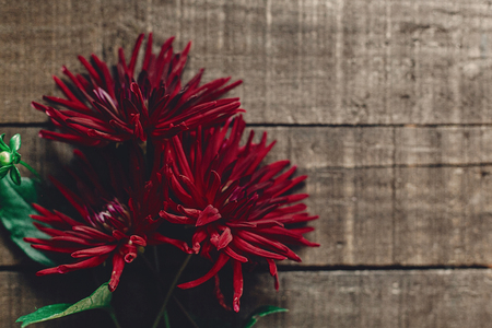 beautiful dahlias asters on rustic wooden background flat lay. red autumn flowers top view, seasonal greetings. floral greeting card with space for text.の写真素材