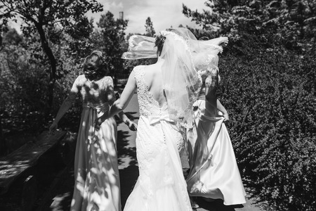 Beautiful bride with bridesmaids holding bouquets for a walk in a park after wedding ceremony, bride with friends photoの写真素材
