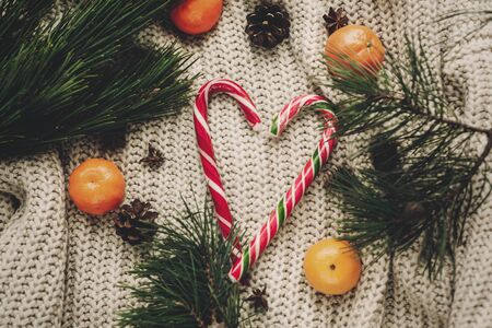 Stylish peppermint candy cane in heart and pine cones tangerine and anise with fir branches on rustic knitted sweater top viewの写真素材