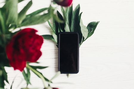 stylish phone with empty screen and beautiful red peonies on white wooden background flat lay.の写真素材
