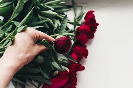 hand holding beautiful red peony bud and bouquet on wooden rustic background.の写真素材
