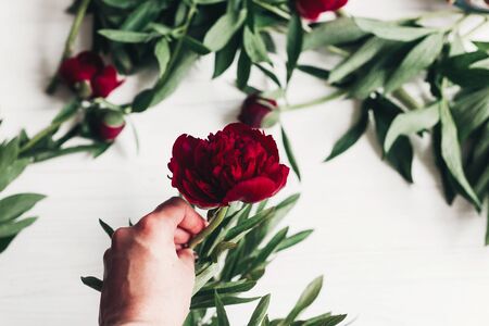 hand holding beautiful red peony on wooden rustic background.の写真素材