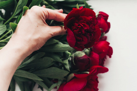 hand holding beautiful red peony on wooden rustic background.の写真素材