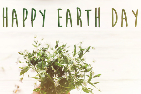 happy earth day text sign on beautiful daisy flowers on rustic white wooden background top view....