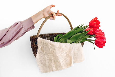 hand holding rustic basket with pink tulips on white background with space for text. hello spring. happy mother's and women's day concept. seasons greetings. gardeningの写真素材