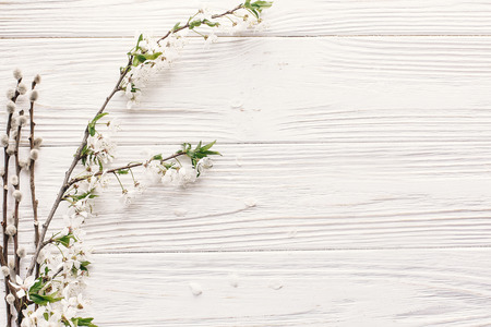 beautiful fresh cherry branches with white flowers on rustic wooden background top view. hello...