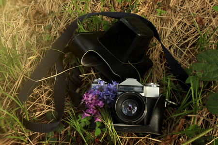 old  film photo camera with spring flowers, on the background of grassの写真素材