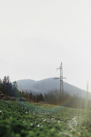 first fresh grass on the background of spring mountains and woodsの写真素材