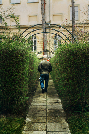 old man walking in green valley in botanical garden in spring timeの写真素材