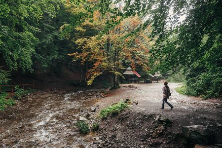 stylish hipster girl in hat with backpack walking in forest in mountains. traveler woman exploring...