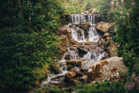 beautiful waterfall on river in forest in mountains. cascades river with water motion and rocks. beautiful scenery landscape of river in woods under summer sun light.  amazing rainforest wallpaperの写真素材