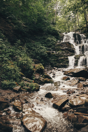 beautiful waterfall on river in forest in mountains. cascades river with water motion and rocks. beautiful scenery landscape of river in woods under summer sun light. trees and rainforestの写真素材