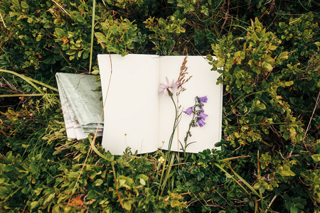beautiful bellflower and wildflowers on paper notebook on blueberries bushes on sunny hills of mountains, top view. hipster gathering wildflowers and herbs for herbariumの写真素材