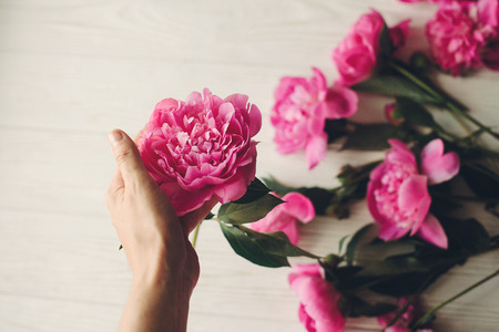 hand holding lovely pink peony and peonies on rustic old white wooden window in light, space for text. top view. floral greeting card. rural country image. shabby chic conceptの写真素材