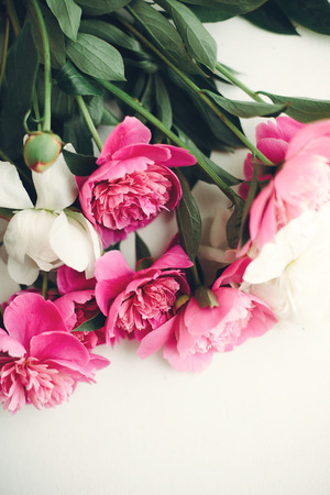 lovely pink peonies on rustic white wooden background, space for text. floral greeting card, flat lay. beautiful peony flowers, tender image. happy mothers or women day conceptの写真素材