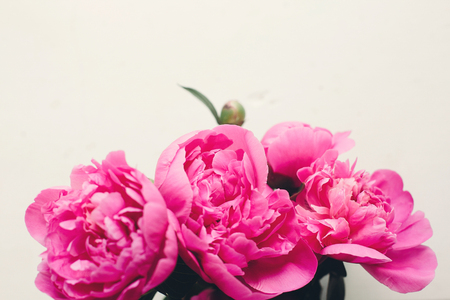 lovely pink peonies on rustic white wooden background, space for text. floral greeting card, flat lay. beautiful peony flowers, tender image. happy mothers or women day conceptの写真素材