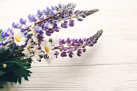 lovely lupine and chamomile bouquet in light on rustic white wooden background in light, space for text. purple wildflowers top view. floral greeting card. spring image. gathering herbsの写真素材