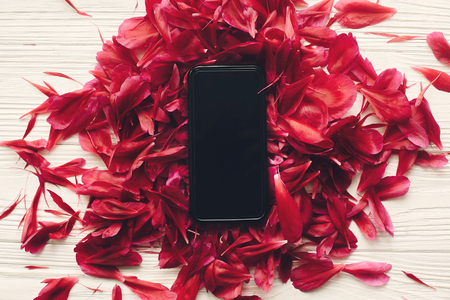 lovely red peonies petals bunch and phone with empty screen on rustic white wooden background, top view, space for text. floral greeting card mock-up, flat lay. happy mothers dayの写真素材