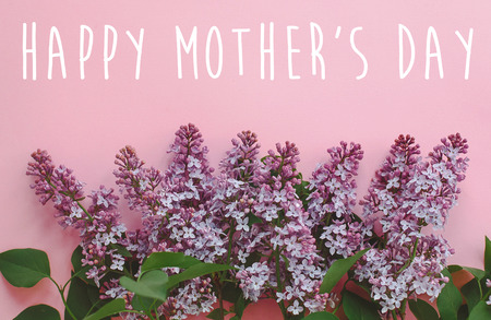 happy mother's day text, greeting card. beautiful lilac purple flowers on pink background, flat lay with space for text. modern image. top view. stylish creative floral wallpaperの写真素材