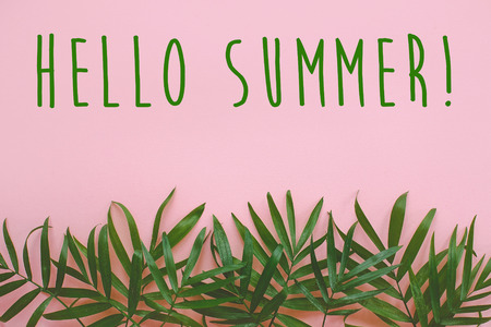 hello summer text. stylish summer flat lay. fresh palm leaves border on pink background with space for text. modern image. top view. summer vacation conceptの写真素材