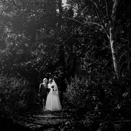 happy gorgeous bride and stylish groom holding hands and walking in sunny forest park, black and whiteの写真素材