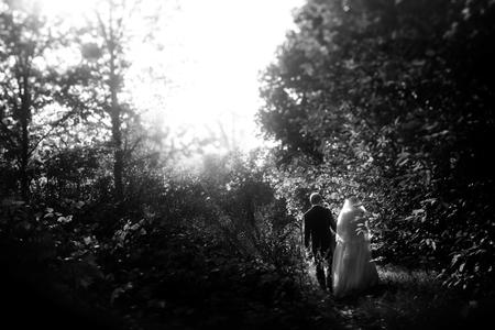 happy gorgeous bride and stylish groom holding hands and walking in sunny forest parkの写真素材