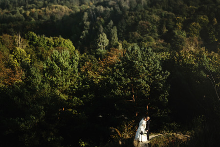happy gorgeous bride and stylish groom hugging on background of sunny trees forest, space for text, honeymoon conceptの写真素材