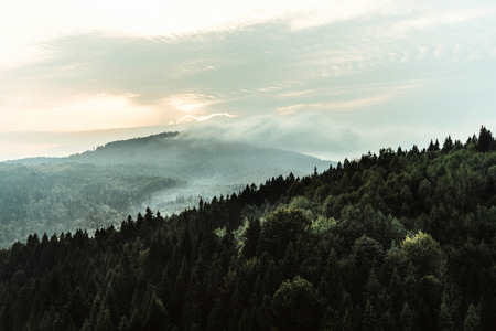 amazing beautiful landscape view of rocks and forest and sky  in sunset mountainsの写真素材