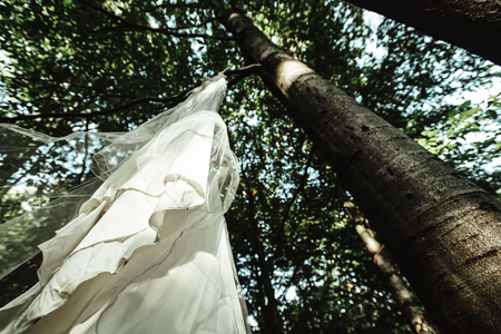 amazing stylish unique wedding dress hanging on a tree in the sunny woodsの写真素材