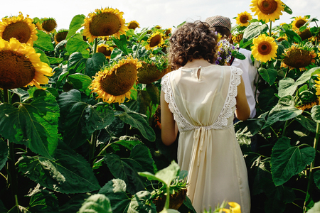 beautiful gorgeous bride and stylish handsome groom, rustic couple in a sunflower sunny fieldの写真素材