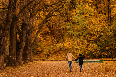 attractive happy luxury couple walking and holding hands in autumn colorful parkの写真素材