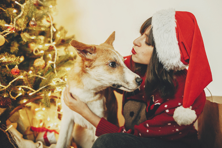 happy girl in santa hat hugging with cute dog on background of golden beautiful christmas tree with lights in festive room. family warm atmospheric moments. winter  holidaysの写真素材