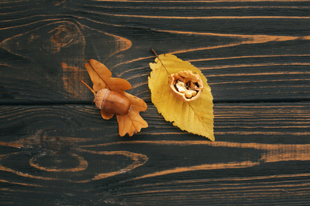 Bright colorful autumn leaves with acorn and nut on rustic wooden table, flat lay. Fall image. Harvest time. Happy Thanksgiving. Greeting card mock-up. Hello Autumn.の写真素材