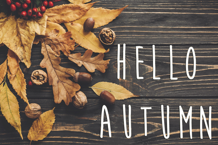 Hello Autumn Text. Hello Fall sign on bright colorful autumn leaves with acorns and nuts on rustic wooden table, flat lay. Fall image. Greeting card mock-up. Atmospheric imageの写真素材