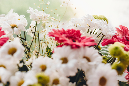 Pink gerbera,white daisy and green chrysanthemum in beautiful bright  bouquet at rustic window in light. Wedding invitation,happy mother day or Valentine day concept. Hello springの写真素材