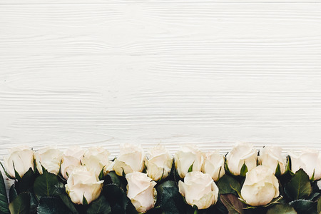 White roses on wooden background, flat lay with space for text. Floral greeting card. Wedding invitation or happy mother day concept. Stylish border of white flowers. Valentine dayの写真素材