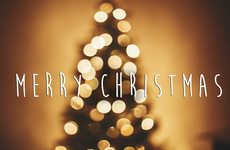 Merry Christmas text on christmas tree golden lights in festive room, blur bokeh of  glowing decoration on tree branches. Season's greetings card. Happy Holidays and Happy New Yearの写真素材